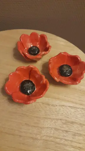 Petit coquelicot